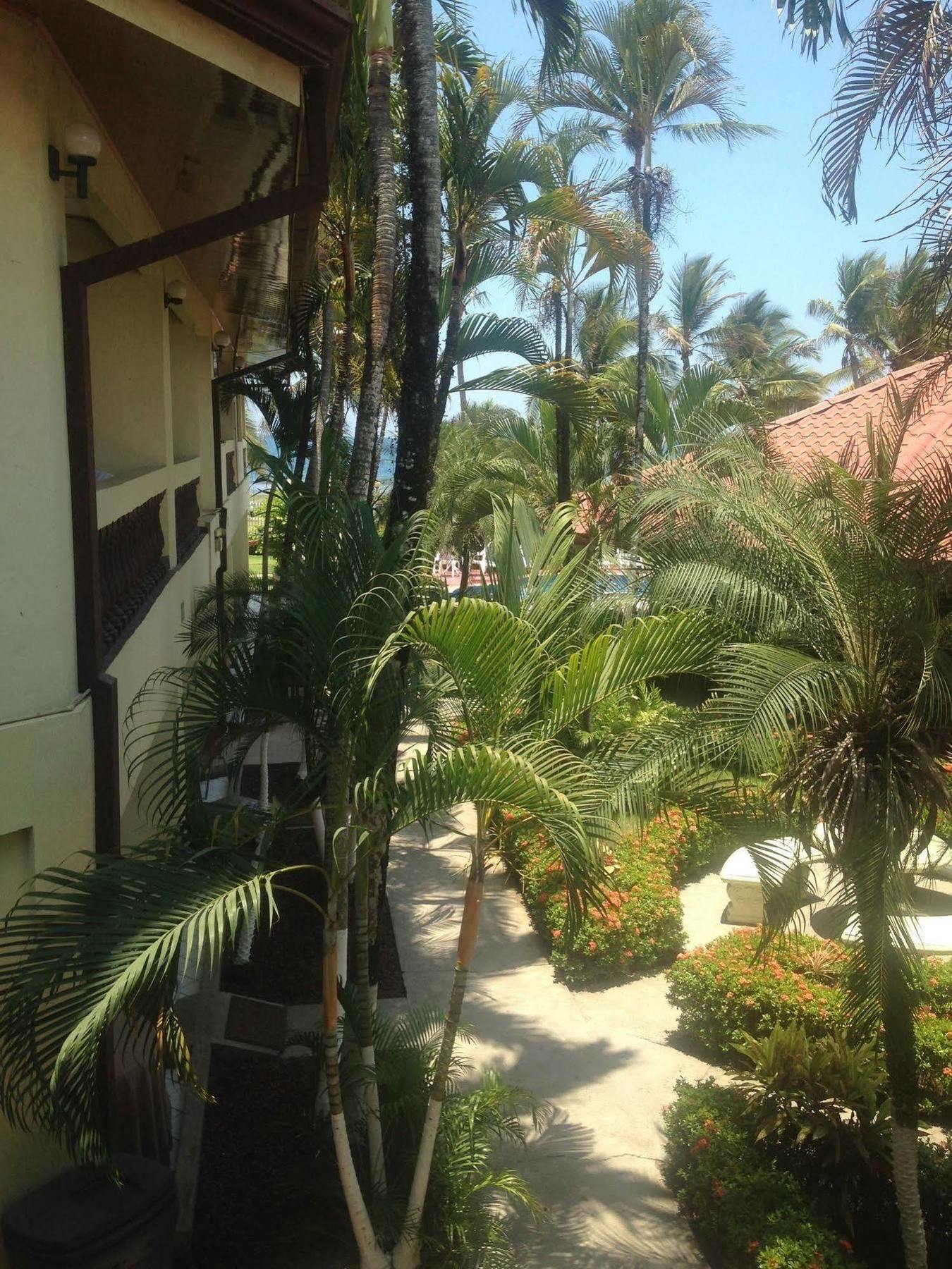 Hotel Mango Mar Jacó Exteriér fotografie
